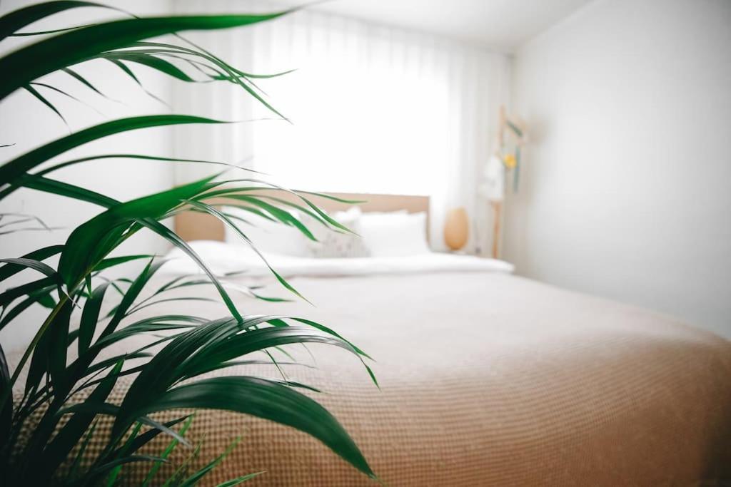 Apartment Sun House - Hongdae Arexstation15mins *
