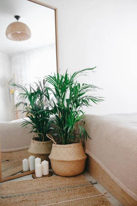 Sun House - Hongdae Arexstation15mins *