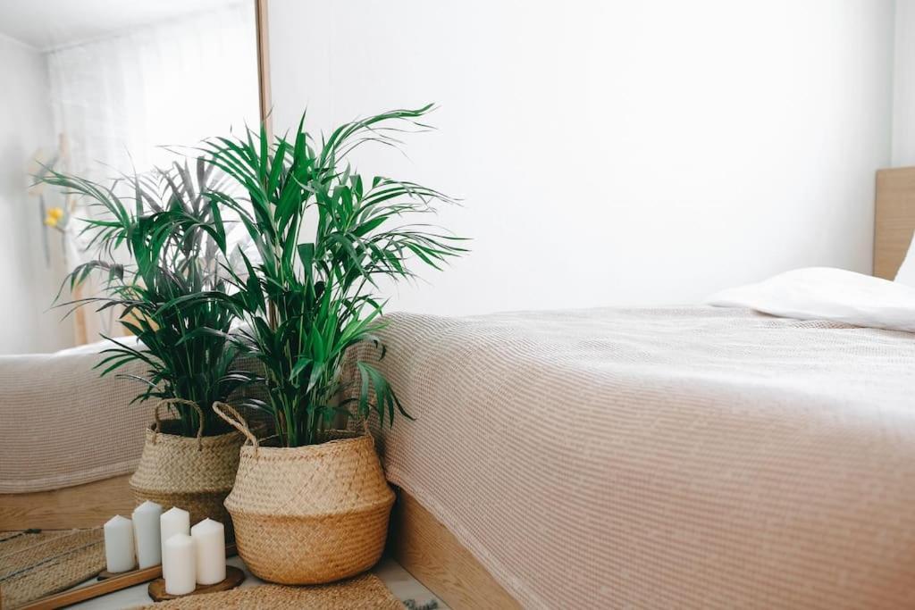 Apartment Sun House - Hongdae Arexstation15mins Seoul